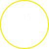 15 лет опыт работы